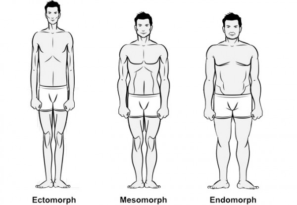 Body types