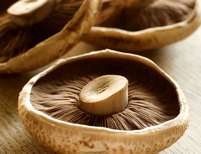 portobellomushrooms
